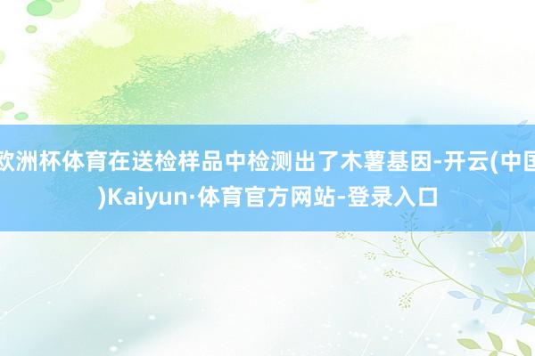 欧洲杯体育在送检样品中检测出了木薯基因-开云(中国)Kaiyun·体育官方网站-登录入口