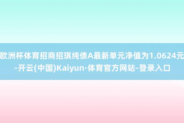 欧洲杯体育招商招琪纯债A最新单元净值为1.0624元-开云(中国)Kaiyun·体育官方网站-登录入口