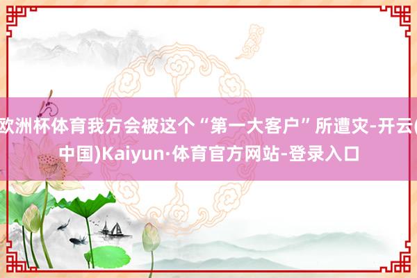 欧洲杯体育我方会被这个“第一大客户”所遭灾-开云(中国)Kaiyun·体育官方网站-登录入口