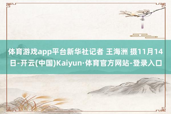 体育游戏app平台　　新华社记者 王海洲 摄　　11月14日-开云(中国)Kaiyun·体育官方网站-登录入口