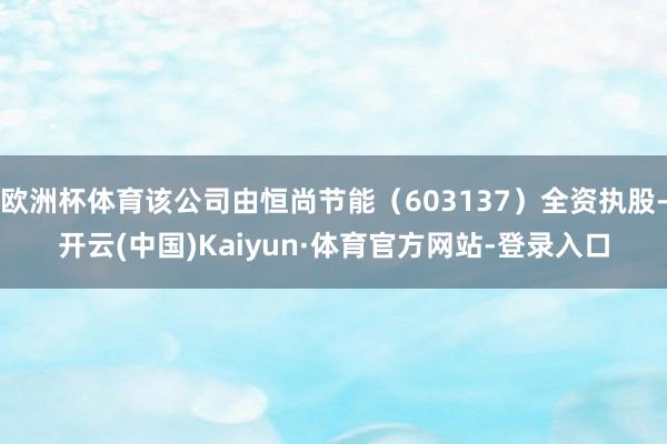 欧洲杯体育该公司由恒尚节能（603137）全资执股-开云(中国)Kaiyun·体育官方网站-登录入口