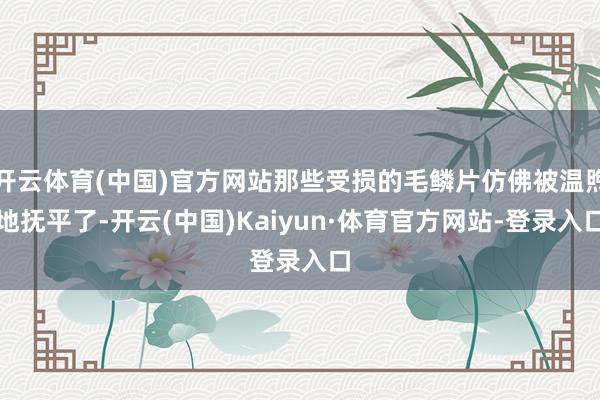 开云体育(中国)官方网站那些受损的毛鳞片仿佛被温煦地抚平了-开云(中国)Kaiyun·体育官方网站-登录入口