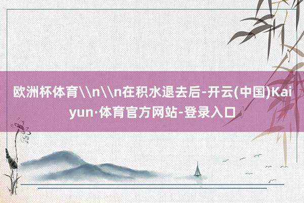 欧洲杯体育\n\n在积水退去后-开云(中国)Kaiyun·体育官方网站-登录入口