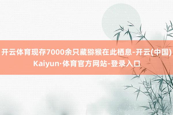 开云体育现存7000余只藏猕猴在此栖息-开云(中国)Kaiyun·体育官方网站-登录入口