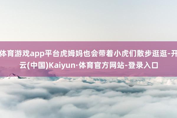 体育游戏app平台虎姆妈也会带着小虎们散步逛逛-开云(中国)Kaiyun·体育官方网站-登录入口