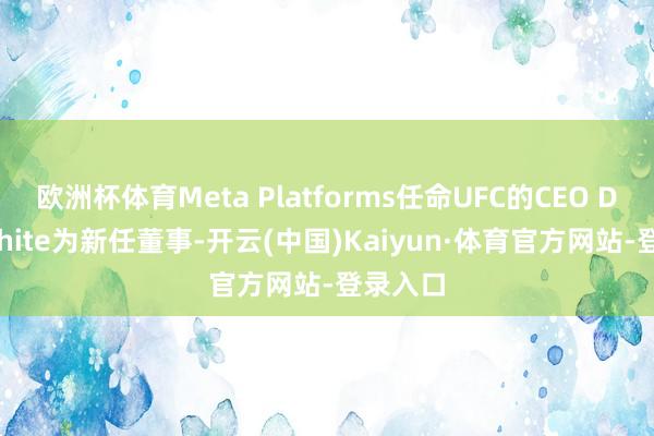 欧洲杯体育Meta Platforms任命UFC的CEO Dana White为新任董事-开云(中国)Kaiyun·体育官方网站-登录入口