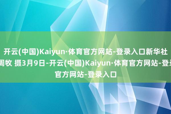 开云(中国)Kaiyun·体育官方网站-登录入口新华社记者 周牧 摄3月9日-开云(中国)Kaiyun·体育官方网站-登录入口